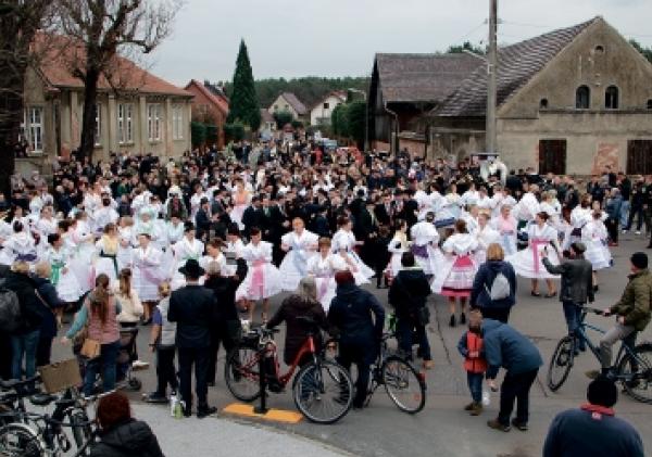 K slězynje jubilejnych licbow dolnoserbskich zapustow